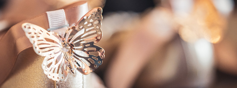 Wedding Photographer Ayrshire