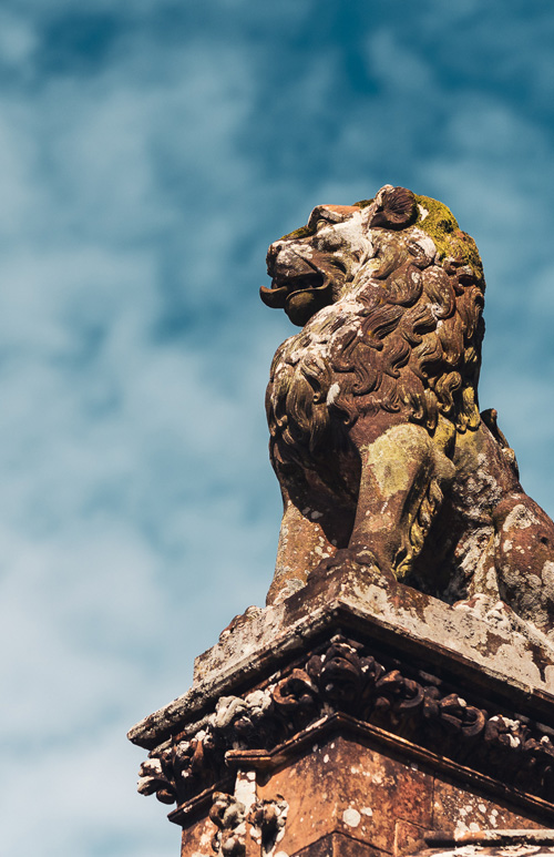 Wedding Photographer Ayrshire