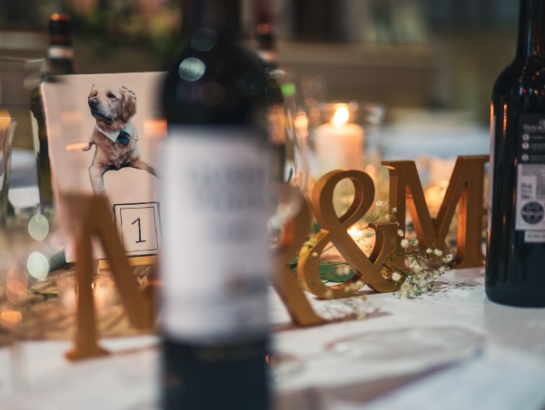 Wedding Photographer Ayrshire