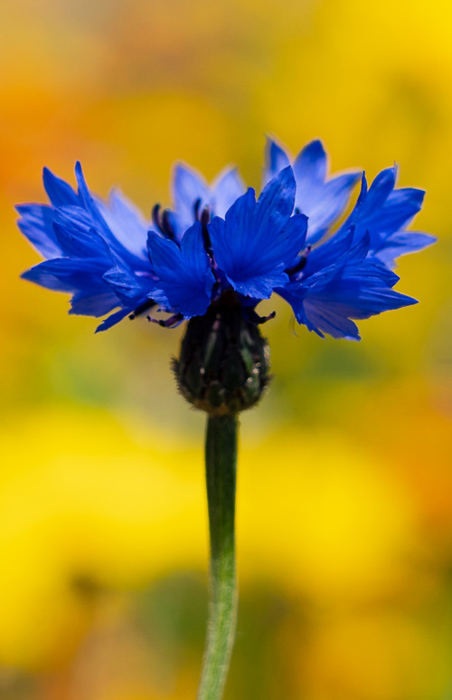 Photography Workshops Ayrshire